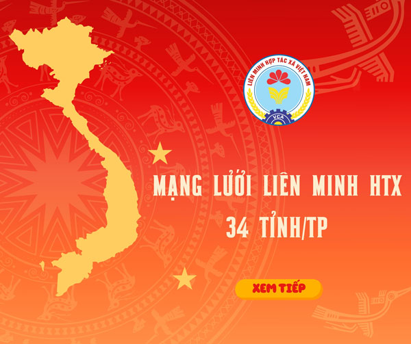 Mạng lưới Liên minh HTX 34 tỉnh/tp
