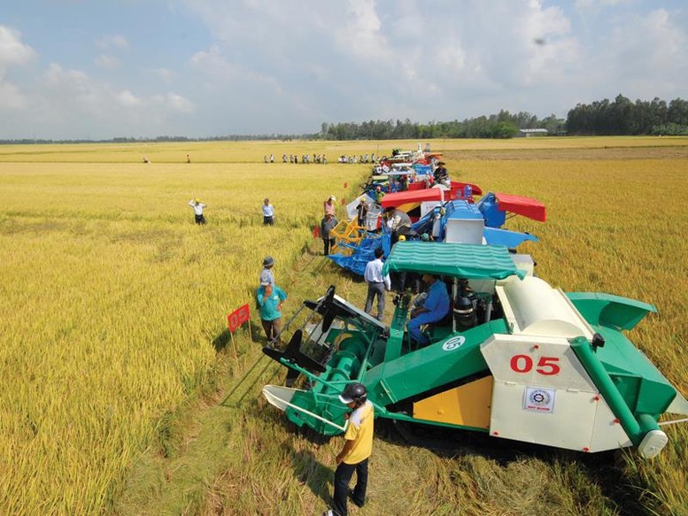 Giá xăng dầu tăng, sản xuất của hợp tác xã bị ảnh hưởng