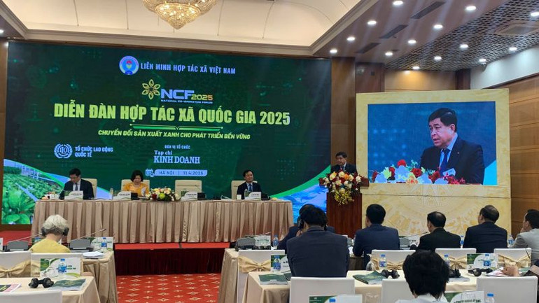 Ban hành Quy chế hoạt động của Ban Chỉ đạo quốc gia về Kinh tế tập thể