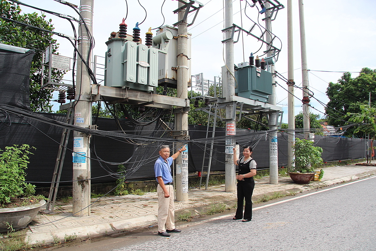 Tháo gỡ khó khăn về đất đai, nguyện vọng chính đáng của các hợp tác xã tại Hải Phòng