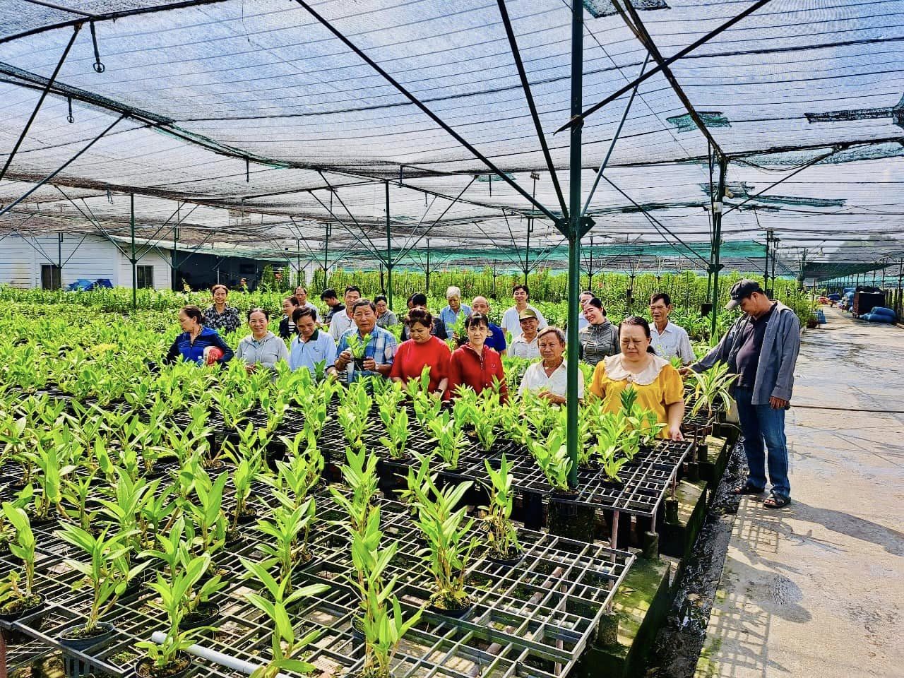 TP.HCM đặt hàng sinh viên tìm mô hình Hợp tác xã kiểu mới từ Luật 2023