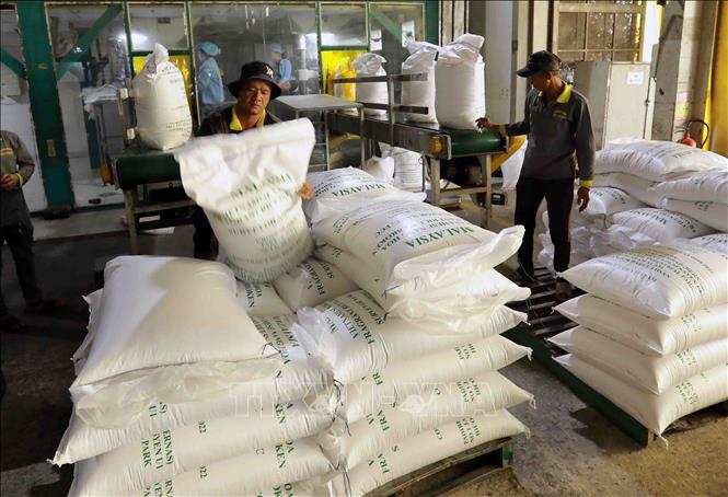 Việt Nam đã xuất khẩu được hơn 7 triệu tấn gạo trong năm 2025