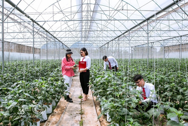 Agribank gieo dòng vốn xanh, mở lối tăng trưởng bền vững