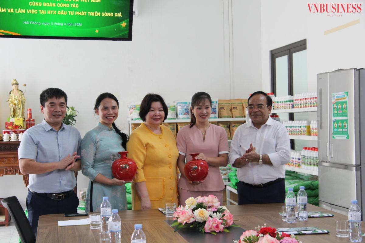 Chủ tịch Liên minh Hợp tác xã Việt Nam "kích hoạt" đổi mới cho Hợp tác xã Hải Phòng