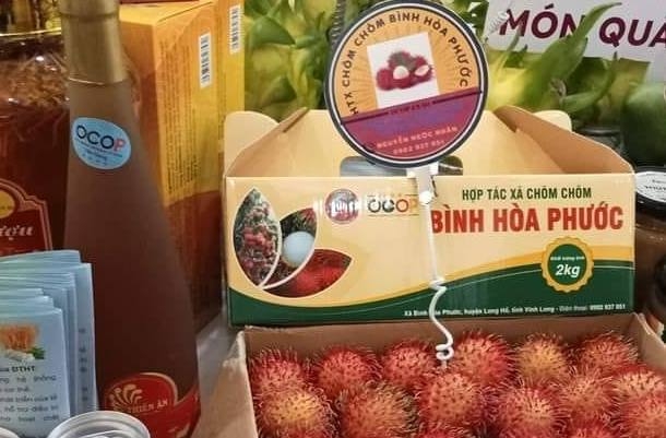 Cù Lao Bình Hòa Phước: gieo thương hiệu, gặt giá trị cho trái chôm chôm