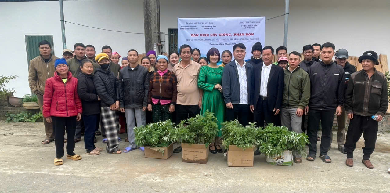 Thanh Hóa: Trung tâm Xúc tiến Thương mại và Đầu tư – Liên minh Hợp tác xã Việt Nam tổ chức chương trình bàn giao cây ngải cứu giống và phân bón 