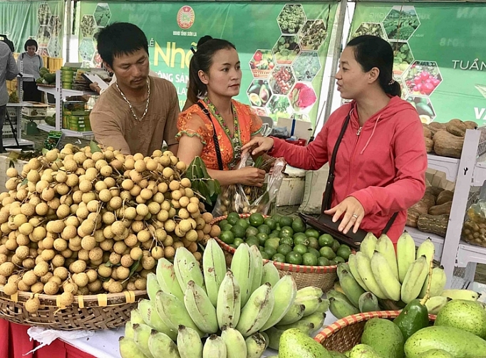 CHƯƠNG TRÌNH OCOP: GIẢI PHÁP PHÁT TRIỂN NÔNG THÔN MỚI HIỆU QUẢ