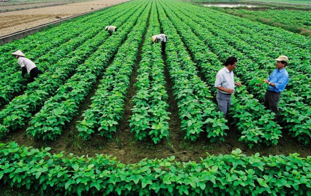 Liên minh HTX Việt Nam trình gửi Thủ tướng Chính phủ về thực hiện ưu đãi thuế, tiền thuê đất, phí và lệ phí đối với HTX, Liên hiệp HTX