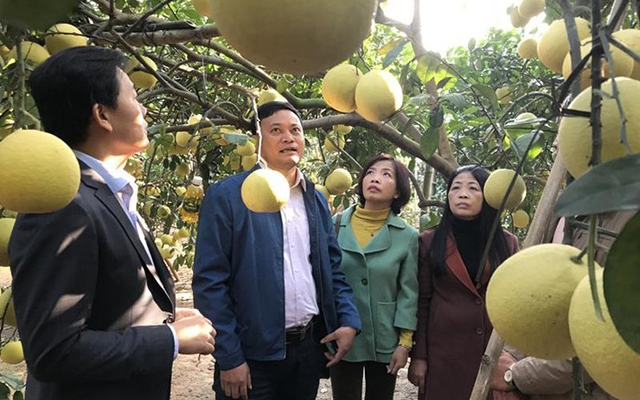 Hà Nội: Tăng cường công tác tuyên truyền, khắc phục tình trạng hợp tác xã gặp khó trong tiếp cận thông tin pháp luật