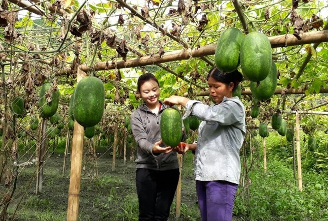 Thanh niên đổi thay vùng đất khó