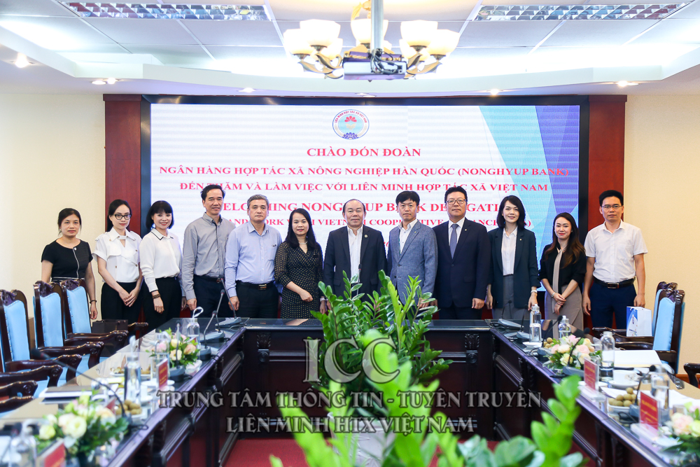 VCA làm việc cùng Nonghyup Bank về Đề án thành lập Trung tâm hợp tác hỗ trợ khởi nghiệp HTX Việt Nam - Hàn Quốc.