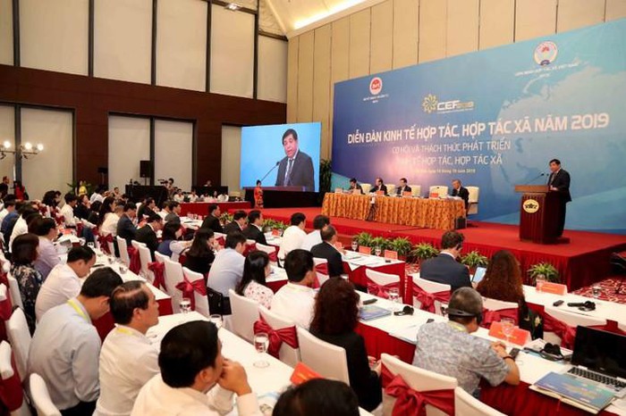 Tổ chức Diễn đàn kinh tế hợp tác, hợp tác xã trong quý III