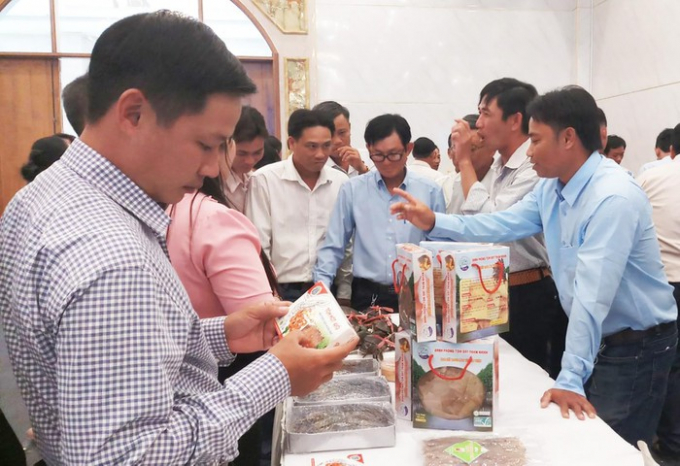 Hỗ trợ các hợp tác xã thủy sản “bước lên bước nữa”