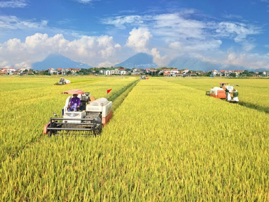 Trước ngày 31/12/2023, giải thể dứt điểm các hợp tác xã không còn hoạt động
