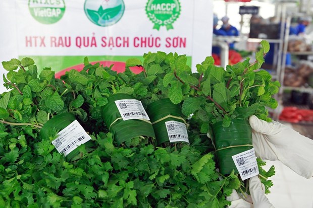 Hà Nội: Hợp tác xã "chơi lớn", mạnh tay lắp camera, trạm quan trắc thời tiết canh ruộng đồng