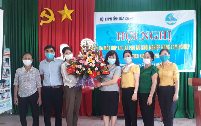 Hợp tác xã Phụ nữ khởi nghiệp nông lâm nghiệp