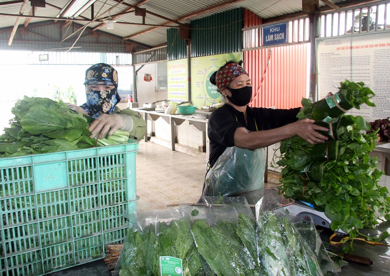 Hợp tác xã chủ động chuyển hướng kinh doanh để phát triển