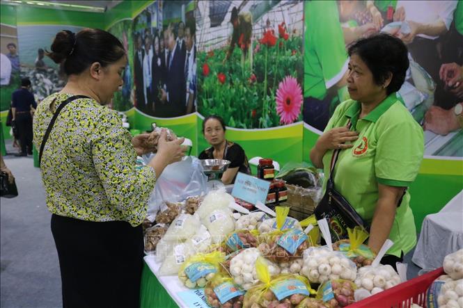Hà Nội sắp diễn ra kết nối cung cầu sản phẩm OCOP và nông sản an toàn