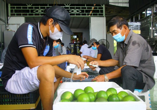 Đồng Tháp: Kết nối tạo đầu ra ổn định trong tiêu thụ nông sản