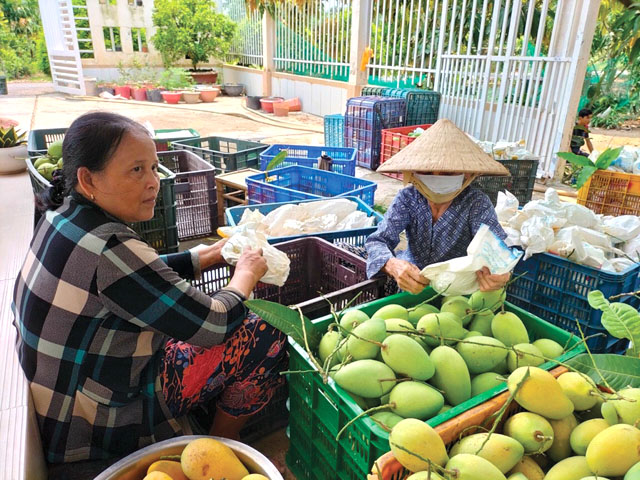 Giúp nông dân, doanh nghiệp sản xuất theo tín hiệu thị trường