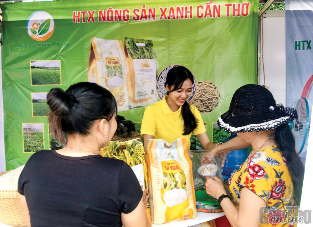 Hỗ trợ hợp tác xã phát triển bền vững, thích ứng với nền kinh tế thị trường
