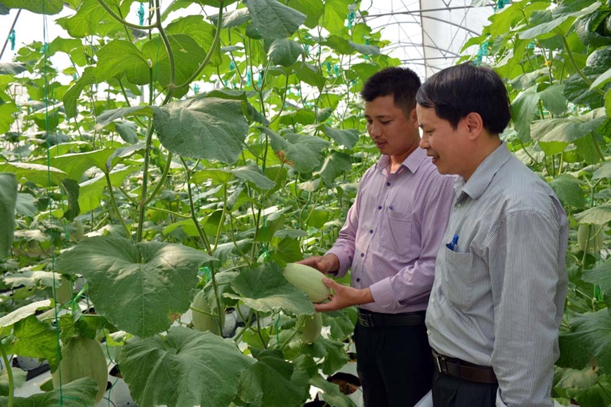 Tiết kiệm nước trong sản xuất nông nghiệp: Nhất cử nhiều lợi