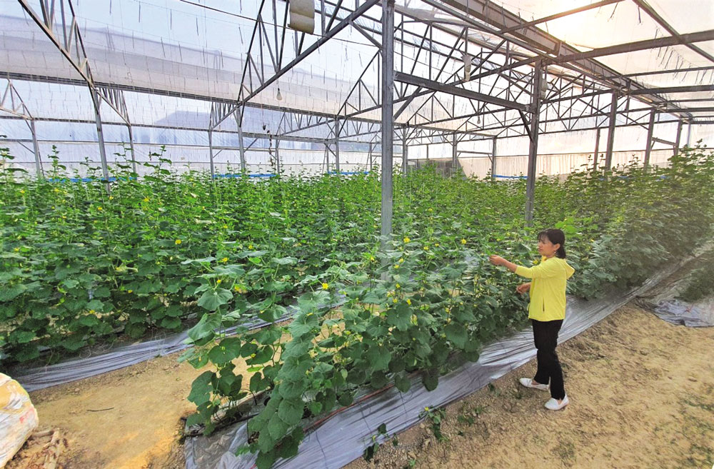 Hỗ trợ phụ nữ sáng tạo khởi nghiệp