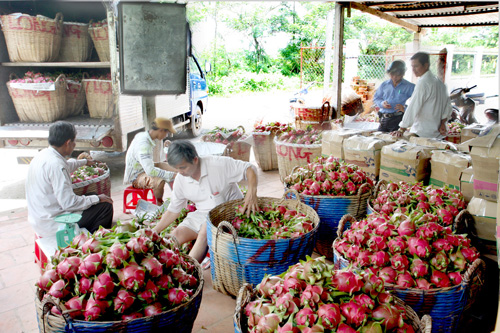 Bài 1: Chưa thể hiện rõ 'buôn có bạn, bán có phường'