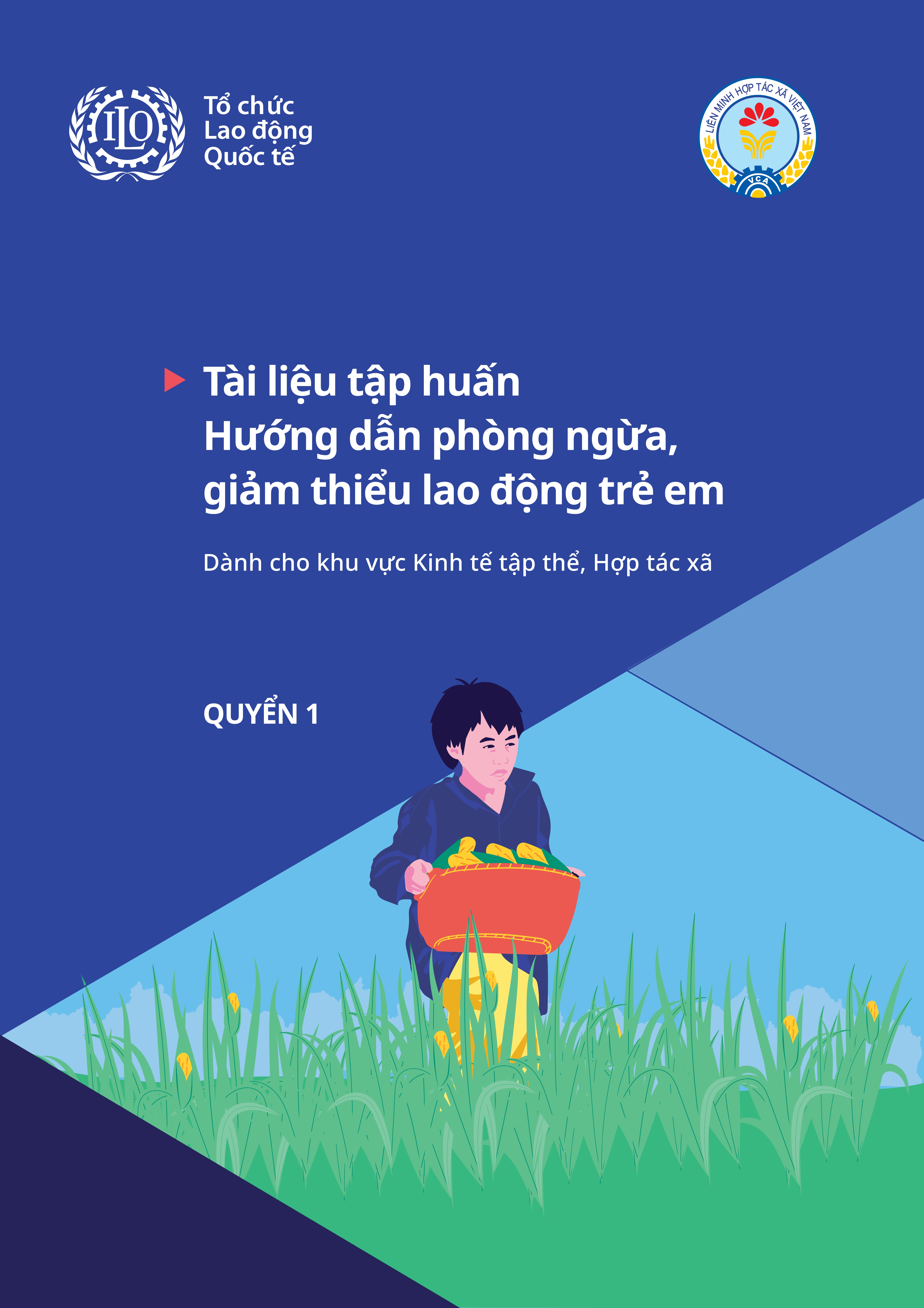 Hướng dẫn phòng ngừa, giảm thiểu lao động trẻ em trong khu vực kinh tế tập thể, hợp tác xã
