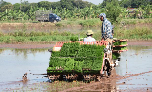 Nhân rộng mô hình mạ khay, cấy máy