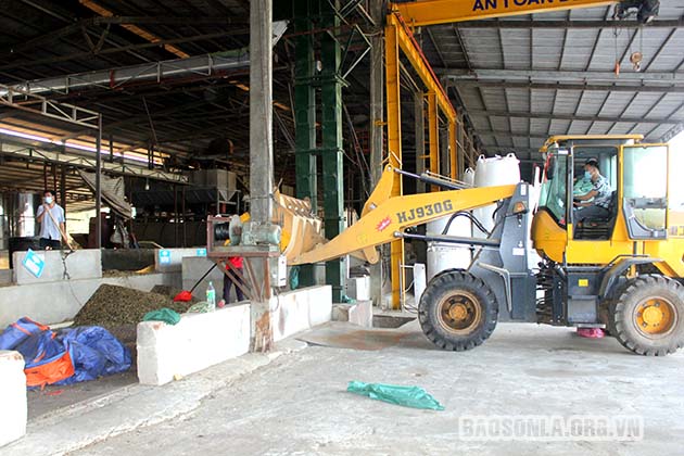 Tháo gỡ vướng mắc để HTX ổn định sản xuất kinh doanh