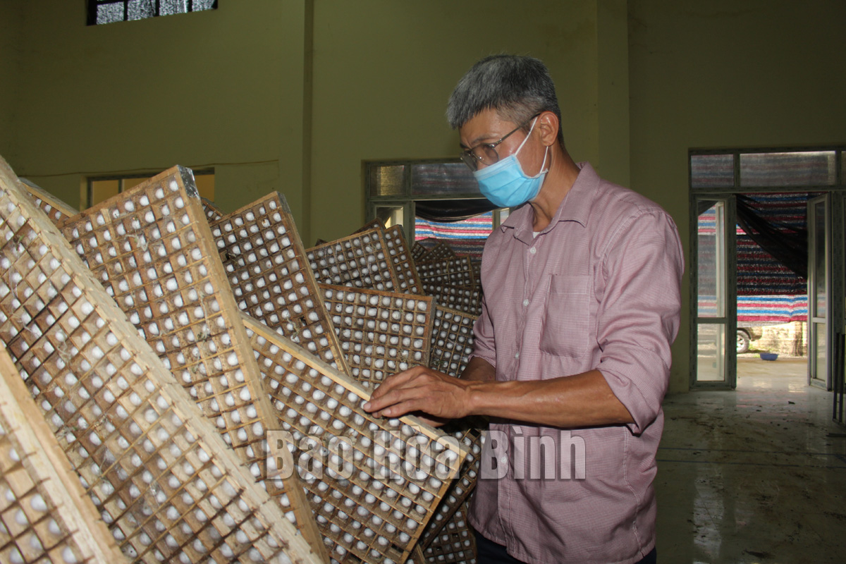 Huyện Lạc Thủy: Phát triển hợp tác xã nông nghiệp gắn với chuỗi liên kết