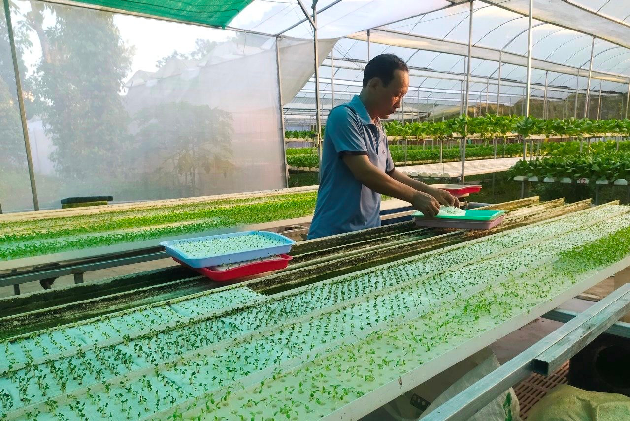 Thúc đẩy chuyển đổi số trong phát triển hợp tác xã