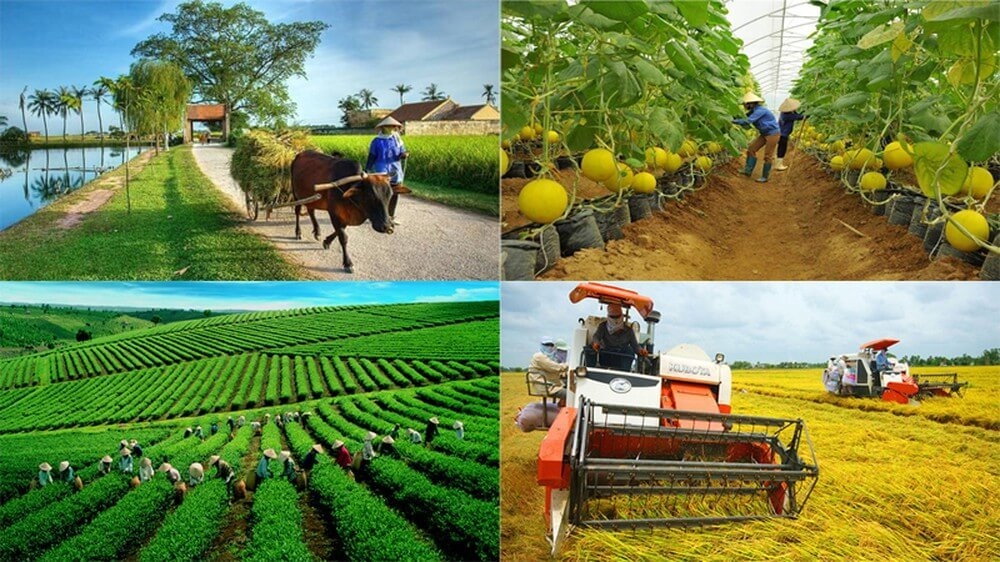 Xây dựng dự án Luật HTX (sửa đổi): Loại bỏ các quy định rào cản HTX tham gia thị trường