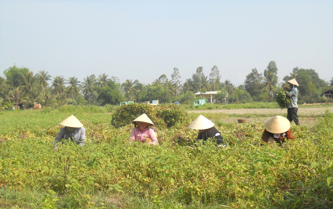 Sự nhạy bén đáng tham khảo của một hợp tác xã