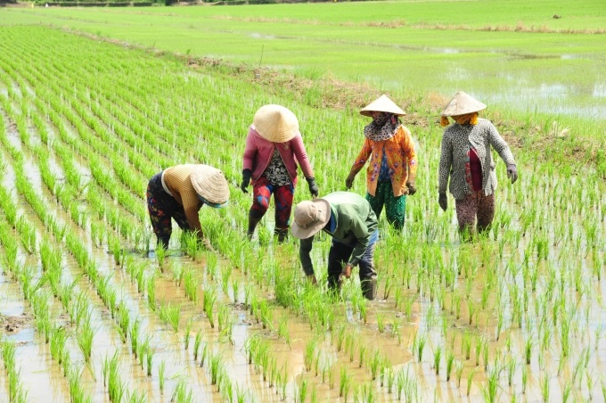 Ông Giám đốc hợp tác xã uy quyền ở Kiên Giang