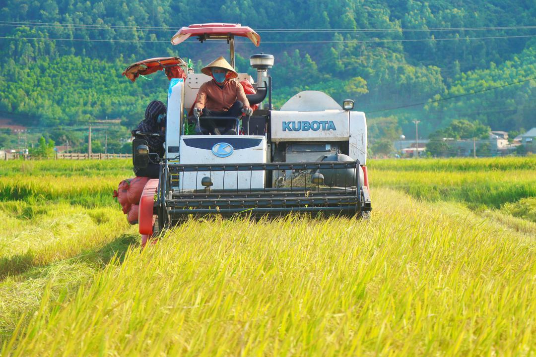 Đề xuất nhiều chính sách hỗ trợ để phát triển hợp tác xã