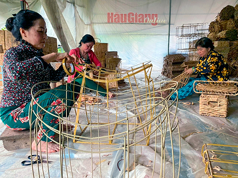 Nâng cao hiệu quả các tổ hợp tác, hợp tác xã
