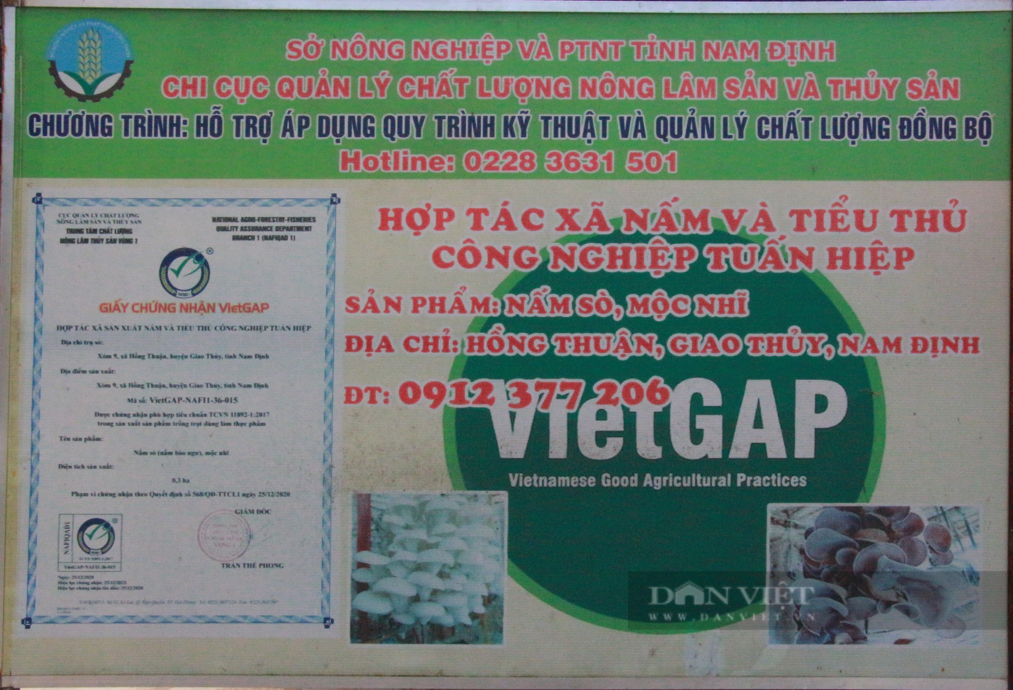 Một HTX sản xuất nấm sạch ở Nam Định vinh dự được Thủ tướng Chính phủ tặng Bằng khen
