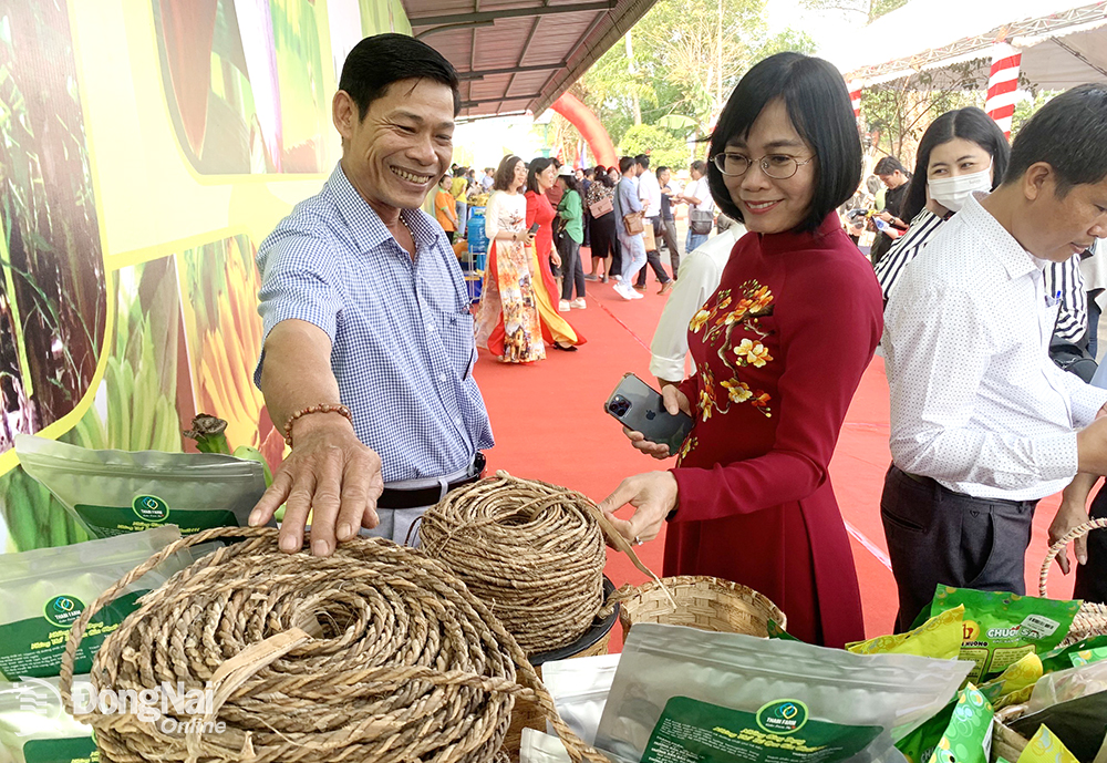 Xây dựng chuỗi liên kết sản xuất hợp tác xã nông nghiệp