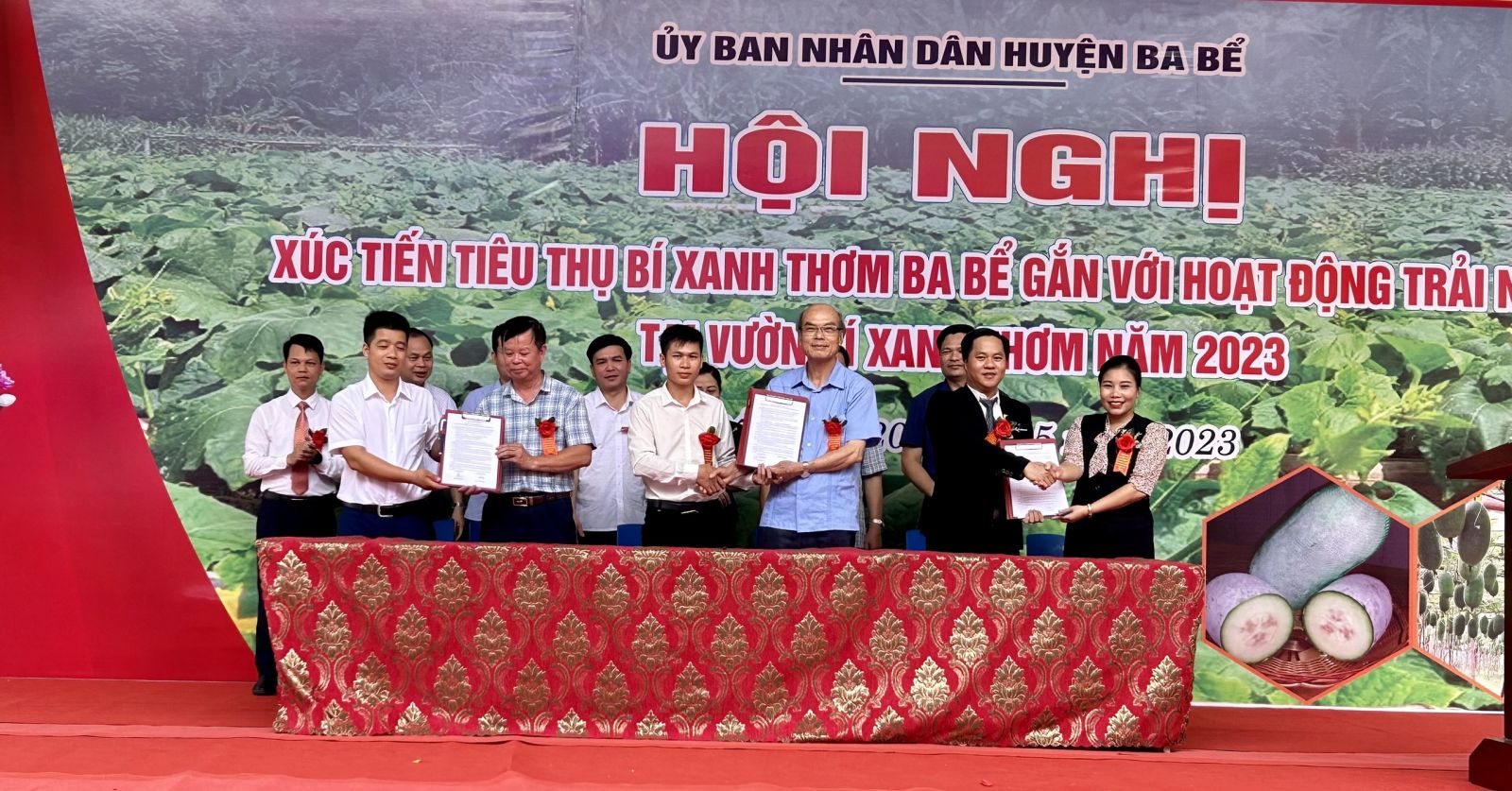 Tăng cường hoạt động xúc tiến thương mại bí xanh thơm Ba Bể