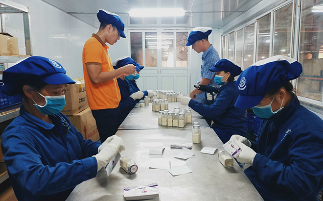 Yên Bái phát huy vai trò hợp tác xã trong xây dựng nông thôn mới