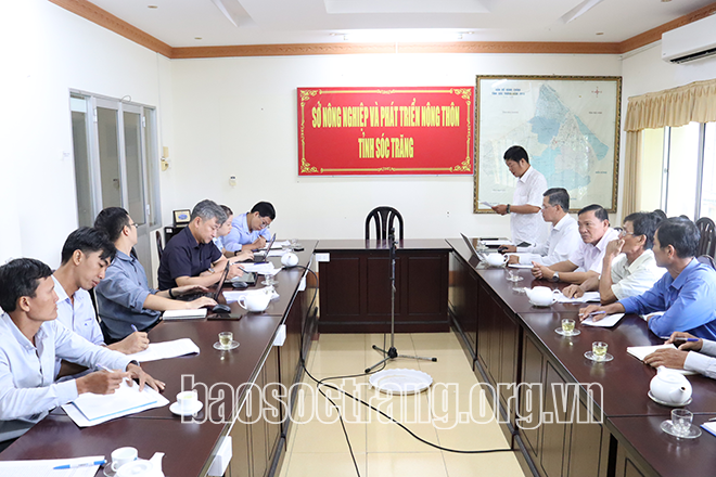 Sóc Trăng có 205 hợp tác xã thuộc lĩnh vực nông nghiệp