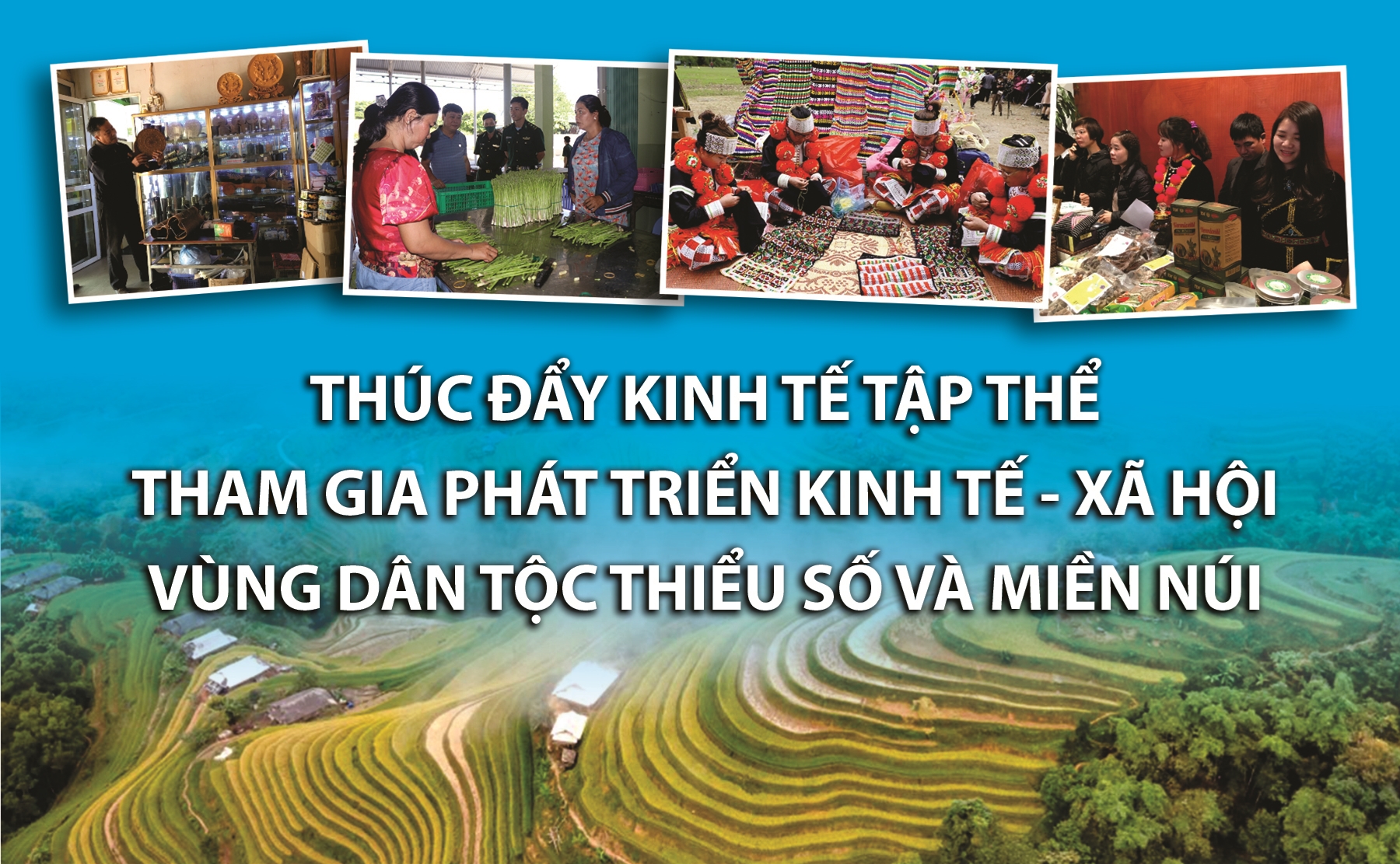 Thúc đẩy kinh tế tập thể tham gia phát triển kinh tế xã hội vùng dân tộc thiểu số và miền núi