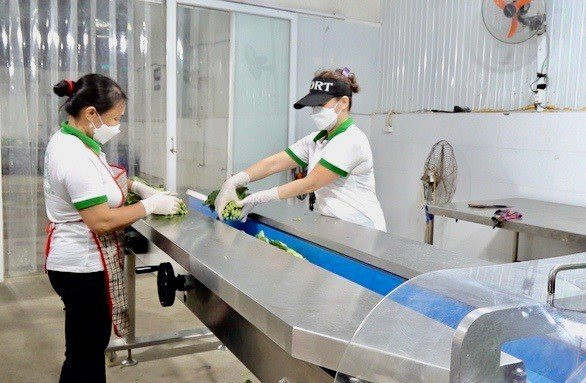 Động lực mới thúc đẩy hợp tác xã phát triển