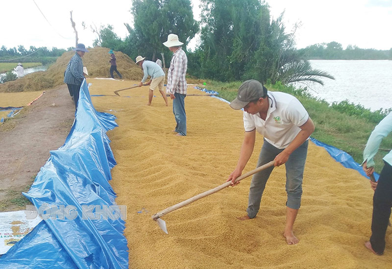 Tiếp tục đổi mới, nâng cao và phát triển kinh tế tập thể