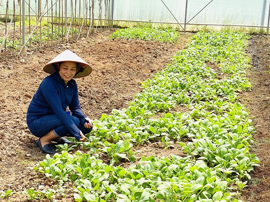 Hà Nội đặt mục tiêu đến năm 2030 có hơn 3.000 hợp tác xã