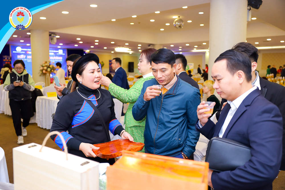 “Kết nối giao thương giữa các hợp tác xã sản xuất trong ngành dược liệu với các doanh nghiệp xuất khẩu và các tổ chức xúc tiến thương mại” 
