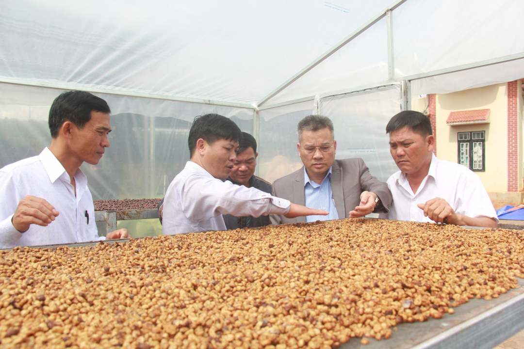 Khó khăn "bủa vây" hợp tác xã mới thành lập