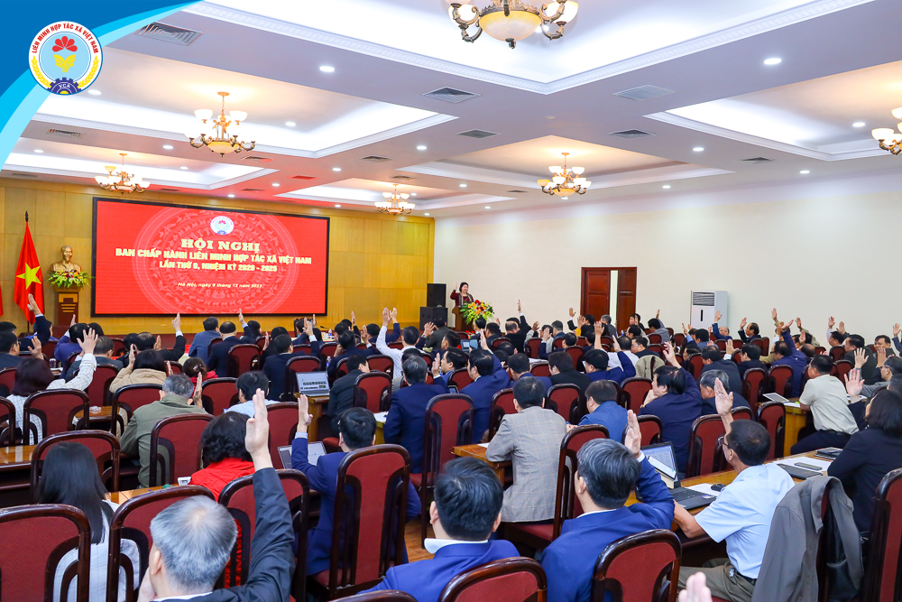 Nâng cao chất lượng dịch vụ hỗ trợ, hoạt động xúc tiến thương mại, tiêu thụ sản phẩm cho các hợp tác xã